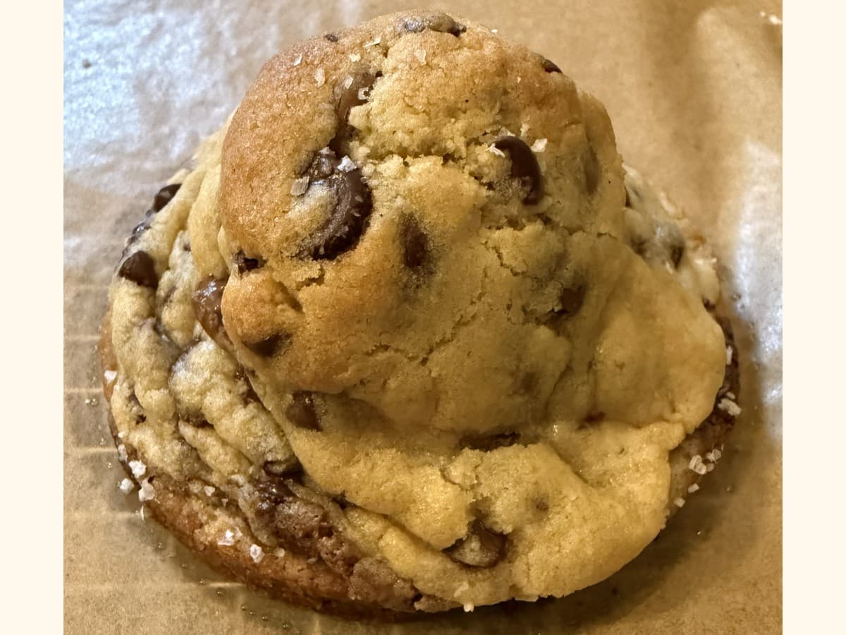 Chocolate Chip