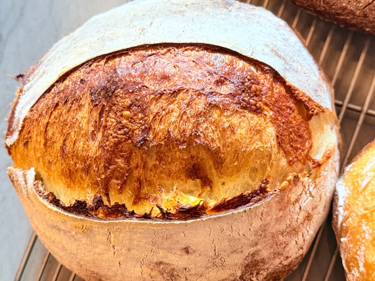 Cheddar Sourdough